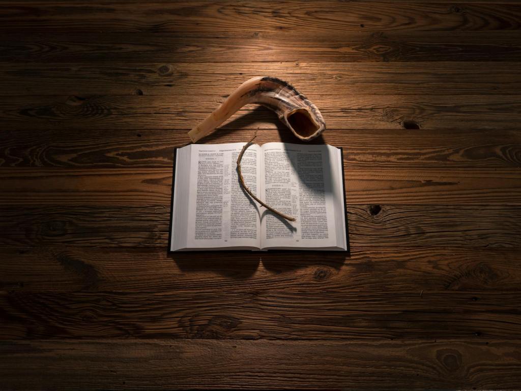 What is that Mysterious Trumpet&nbsp;Sound?