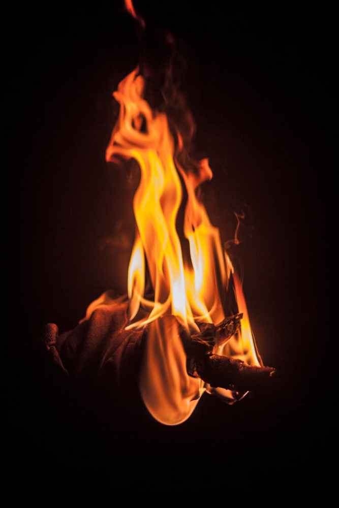 burned wood branches